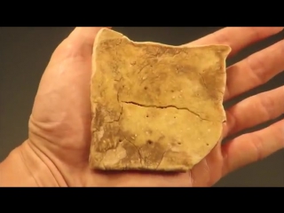 Американец снял на видео, как съел 153 летний крекер