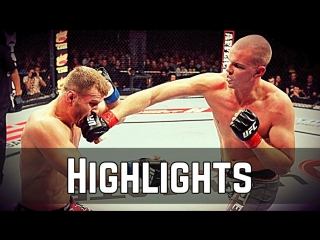 Stefan struve vs stipe miocic ● fight highlights ● hd