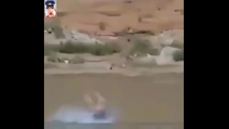 Полетела 🤣