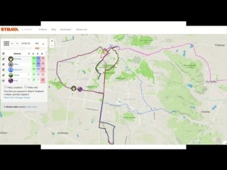 Critical mass february strava v 2