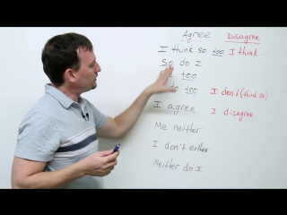 Either, neither, so, too how to agree and disagree in english