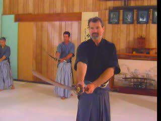 Nami ryu kenjutsu (nami ryu aiki heiho)