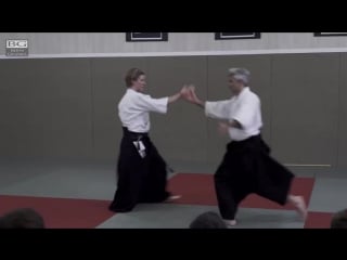 Aiki no michi vienna (aikido verein)