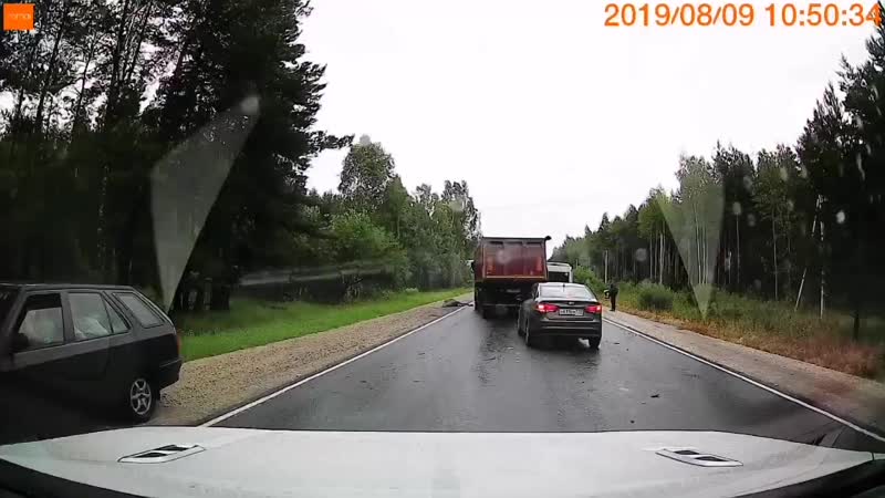 Moose mp4