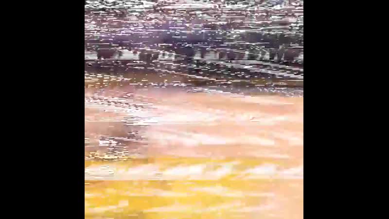 Форма «рэпторс»