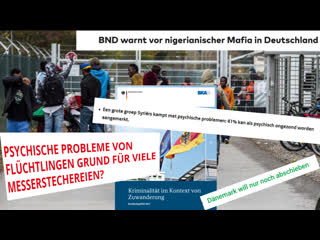 Studie aus holland geisteszustand flüchtlinge + bnd warnt vor nigerian mafia black axt + bka kriminalstatistik migration