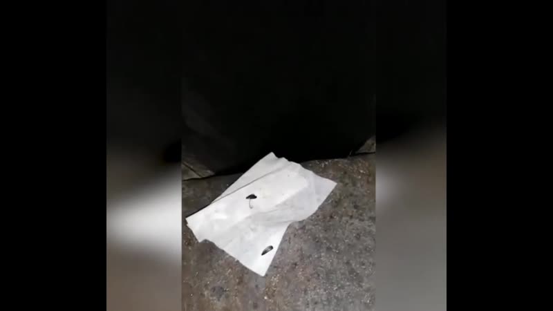 Наркоман провалился в мусоропровод