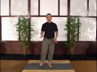Scott sonnon intuflow joint mobility beginner part 5