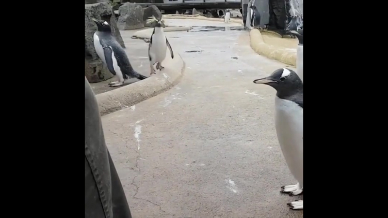 У каждого есть такой чуть двинутый дружбан