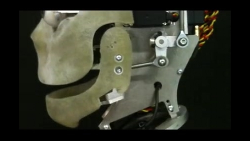 Знакомясь с незнакомым человеком на улицах соснового бора,будьте осторожны! он может быть роботом