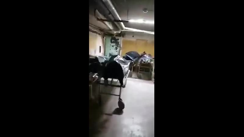 Завалы из тел в горбольнице барнаула
