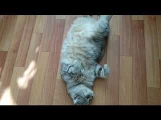 Mov 0170 mp4 tf9275af5 720p mp4