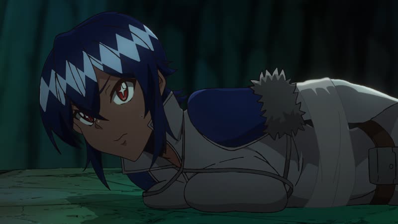 05 тяжкий труд в подземелье (meikyuu black company) (2021)