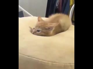 Hes sinking in quick sand