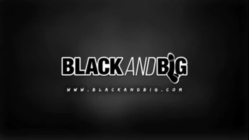 Black and big pugs