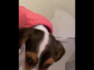 [200509] djxiao 888 insta update