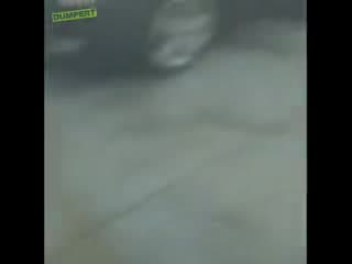 Going to the carwash expecting a great show like the advertise on the card very disappointed