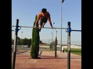 Workout freestyle sergio streetworkout