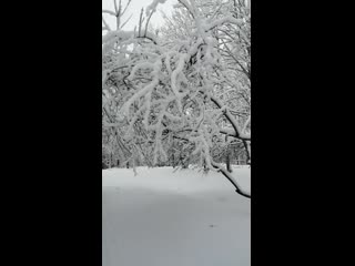 Видео от зои бобровой