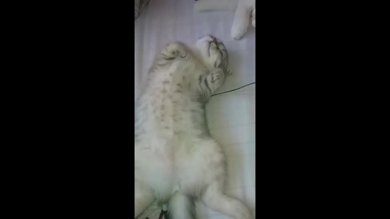 Милая сонечка