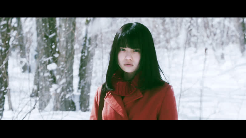 Живучие цветы (перелеска) (misumiso) (2018)