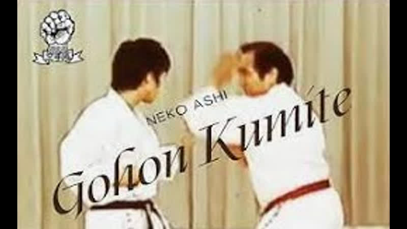 Neko ashi gohon kumite / goshi yamaguchi & gohei yamaguchi / goju ryu gojukai