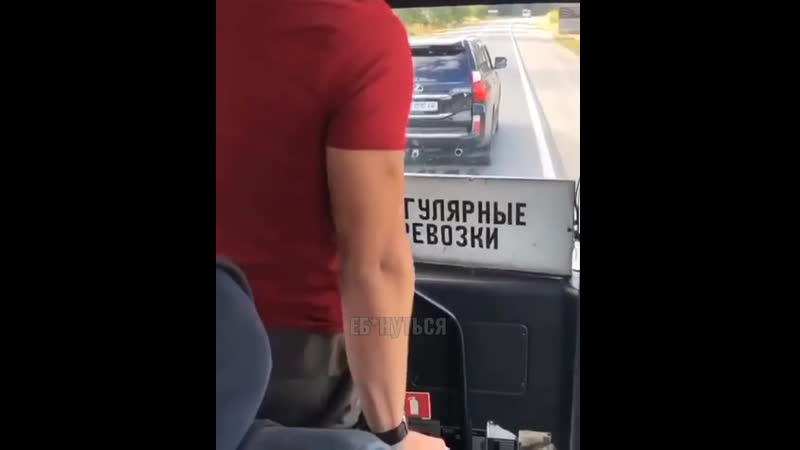 Зря быканул