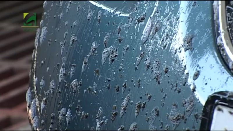 Грасс обучение технологии бесконтактной мойки