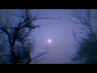 Cherry flavored porn