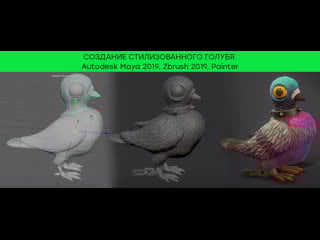 Autodesk maya 2019 , zbrush 2019, painter stylized pigeon