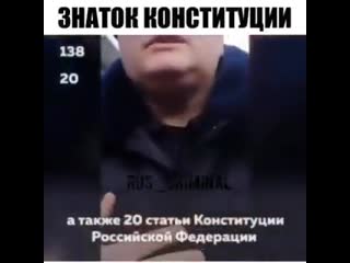 Знаток конституции