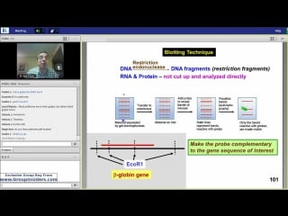 23rd lecture kaplan step 1 ca biochemistry molecular genetics turco june 24, 2015