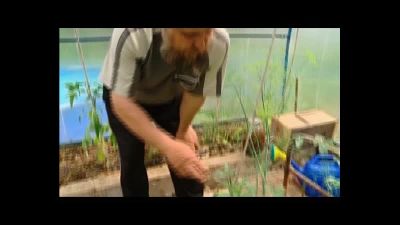 Госпожа у дачи органическое земледелие