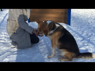 Эвелина и полина учимся давать лапку