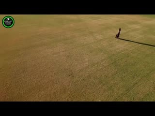 Modern talking mix 2020 car music mix best remix of popular songs (summer special mix 2020)