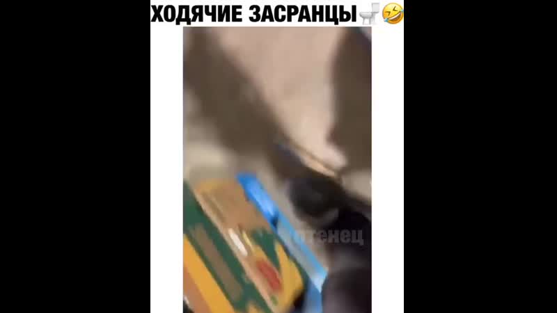 Ходячие засранцы