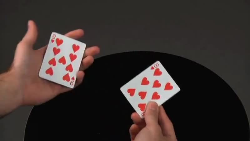 Shaaken by helder guimaraes