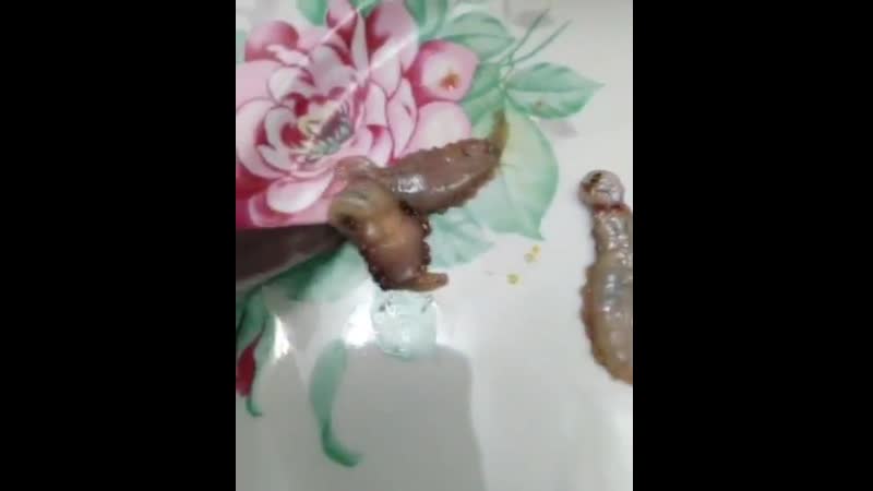 Неведомая хйня