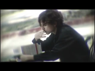 Lady bird; kyle scheible