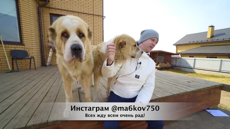 [дмитрий машков] продал квартиру и взял кредиты на этот дом обзор с ценами на ремонт и содержание!