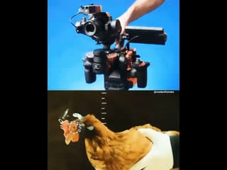 Ronin 4d vs chicken cam stabilizer