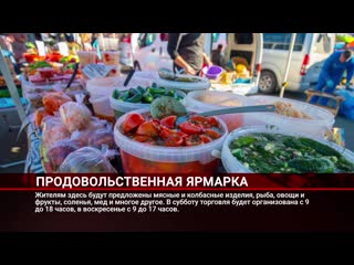 Новостной дайджест от 16 декабря 2020