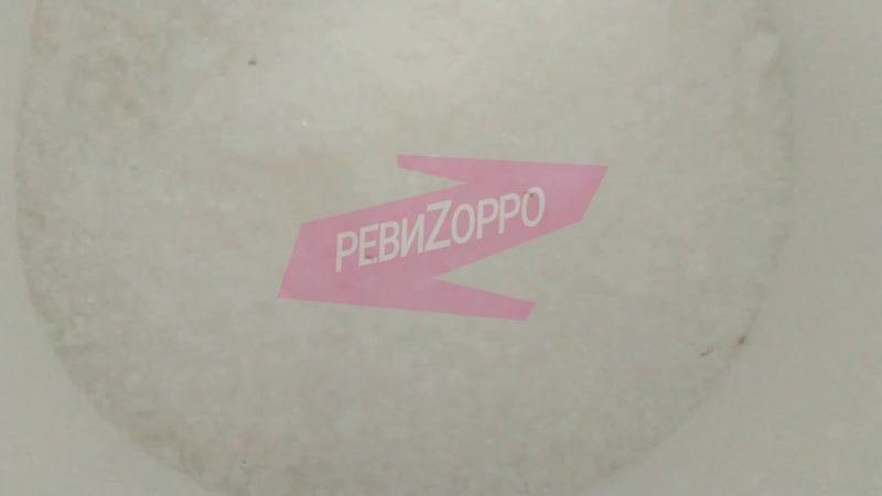 Жучки в сахаре