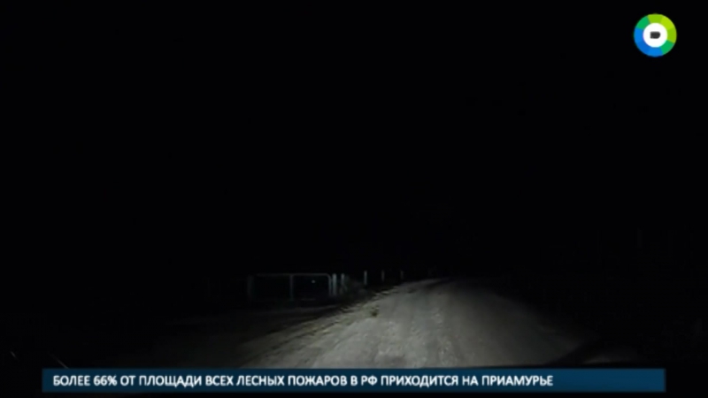Кенгуру porn video – Опасные дороги в австралии кенгуру атаковало машину