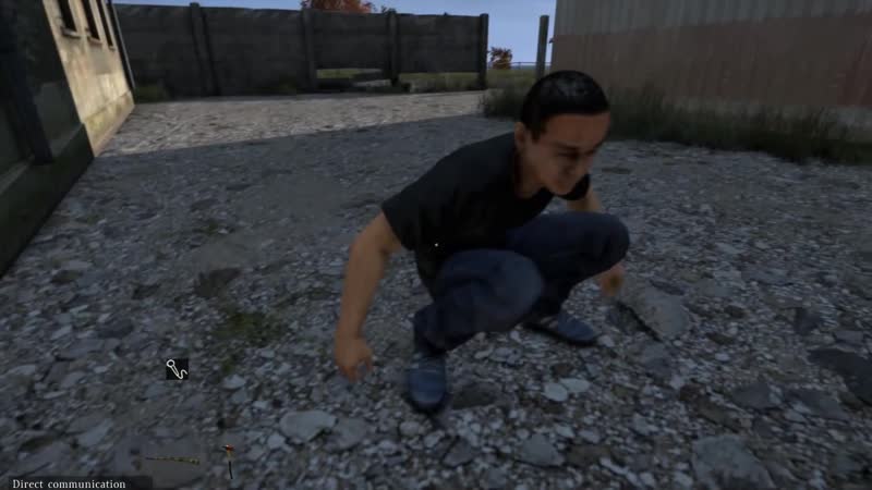 Dayz анимация дефекации