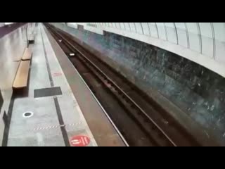 Сегодня на станции метро «дуброа» парень слез с платформы и лёг на рельсы
