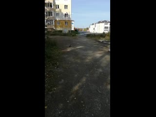 Vid 20200928 133644 mp4