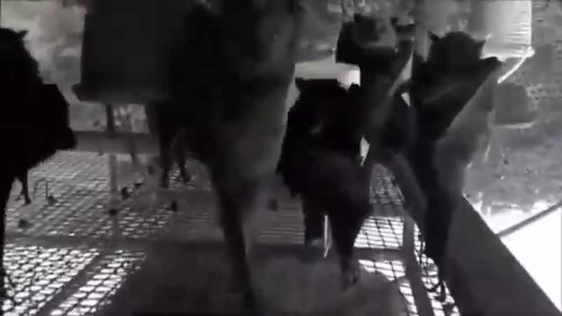 Пятничное пати