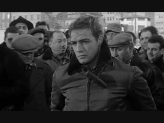 On the waterfront (1954)