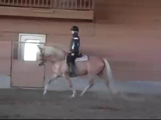 Part 5 the riding lesson ~ using the leg ~ with jp giacomini 5th of a 5 part lesson